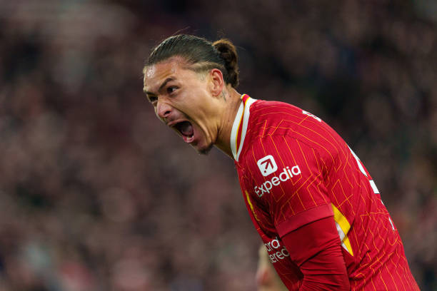 的专注与投 的专注与投