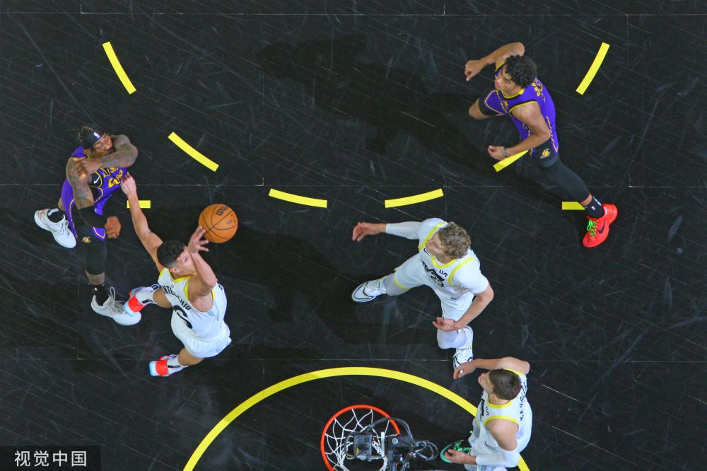 狼早早投开 狼早早投开