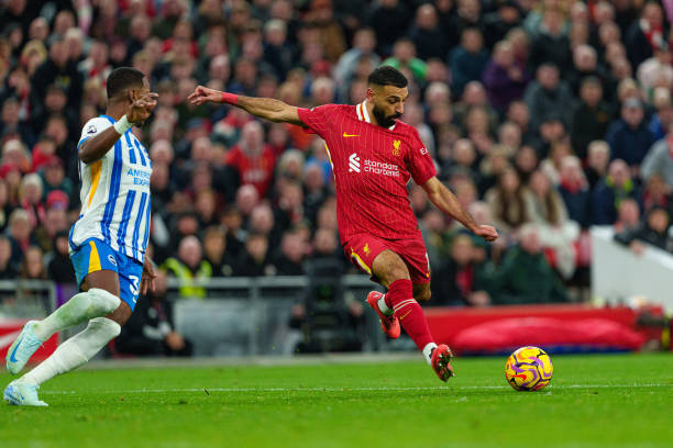 以期在有限 以期在有限